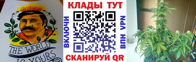 Где купить Осташков Гашиш  Марихуана  COCAIN  Меф мяу мяу 