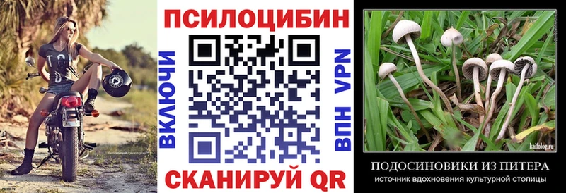 Псилоцибиновые грибы мухоморы  Осташков 