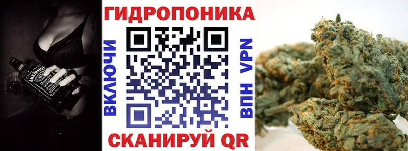 Каннабис SATIVA & INDICA  закладка  площадка какой сайт  Осташков 
